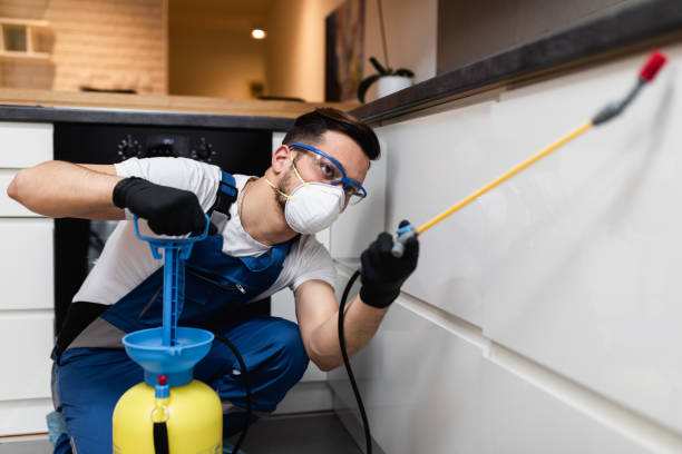 Best Local Pest Control Services  in Belleview, FL