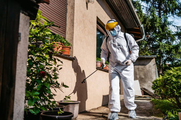 Best Bed Bug Extermination  in Belleview, FL