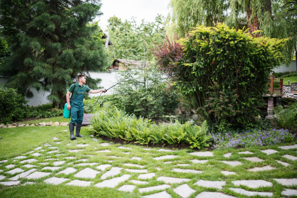 Best Wildlife Control Services  in Belleview, FL