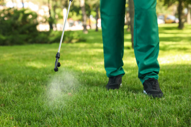 Best Bird Control  in Belleview, FL