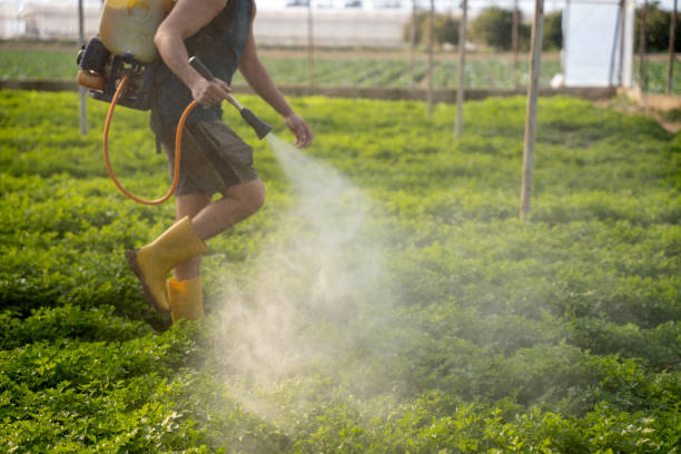 Professional Pest Control in Belleview, FL