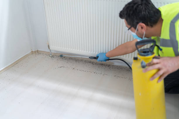 Best Pest Control Near Me  in Belleview, FL